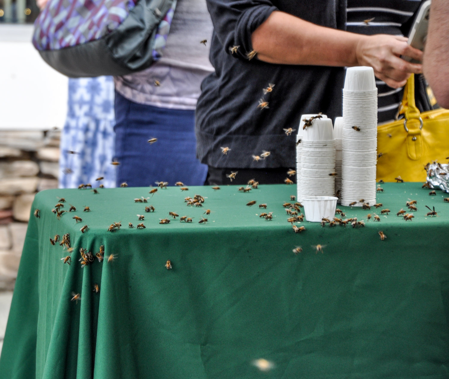 There will be bees at this weekend's festival in Narrowsburg. Count on it.